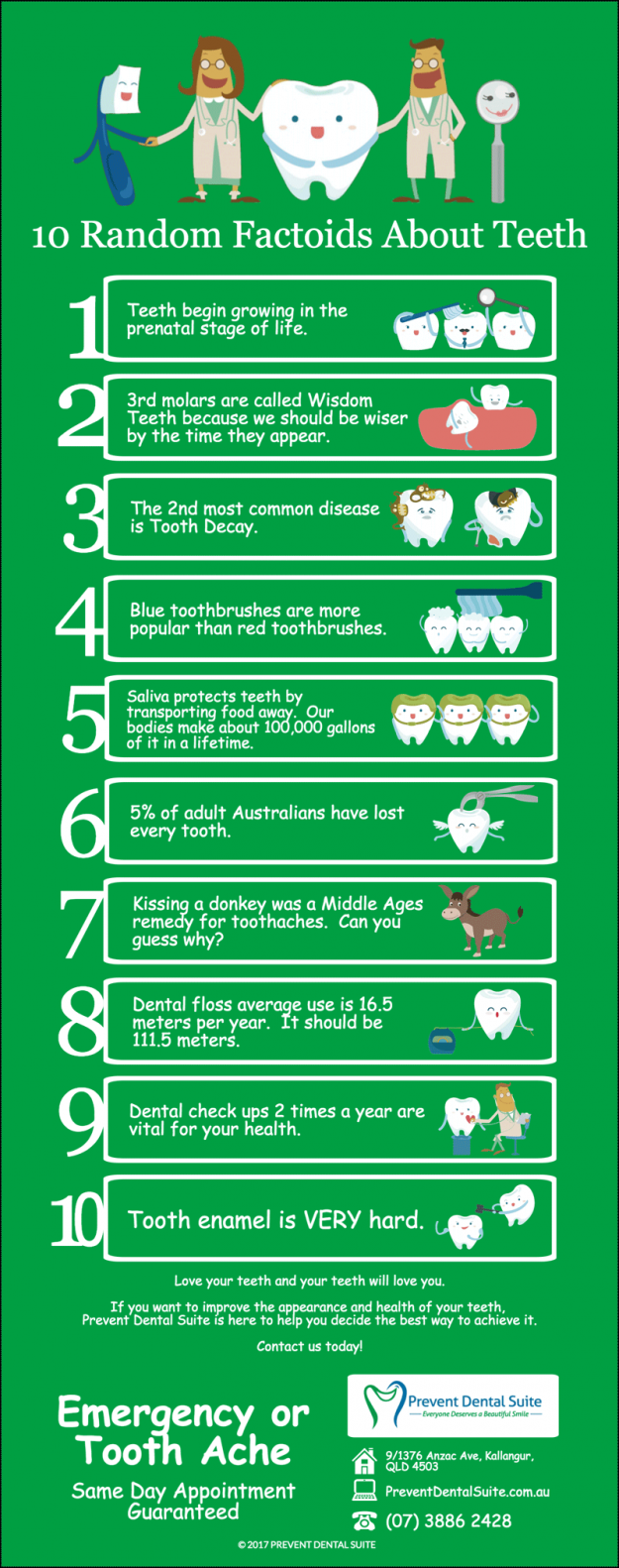 10 Random Factoids About Teeth